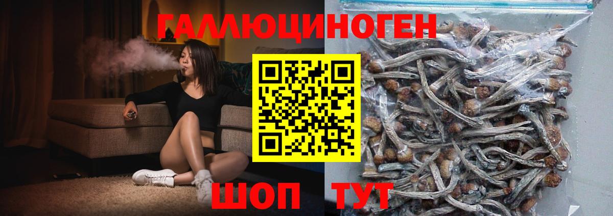 Галлюциногенные грибы прущие грибы  Вход с VPN  Галлюциногенные грибы Psilocybine cubensis  Когалым 